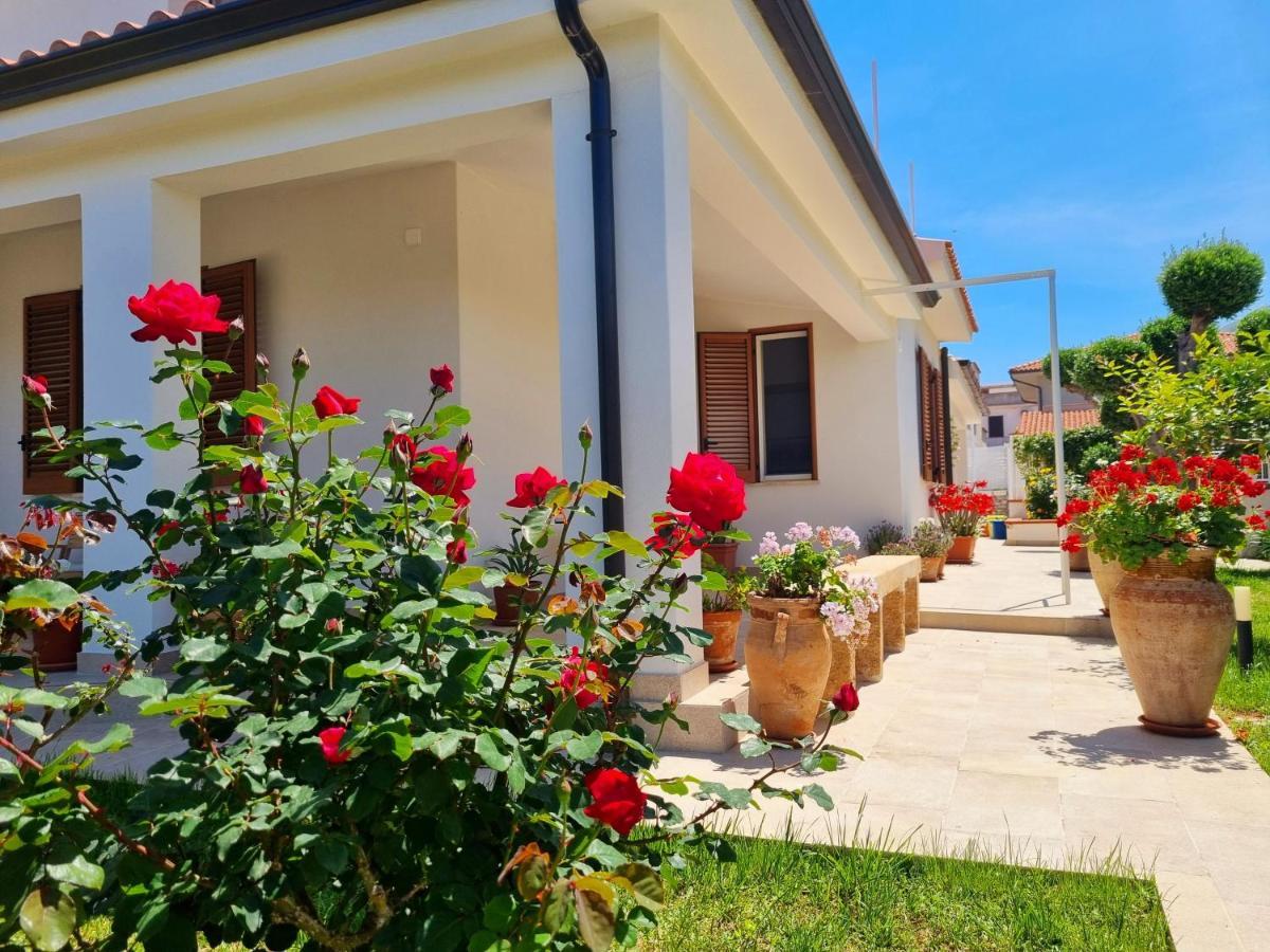 Kleade B&B Terrasini Exterior photo