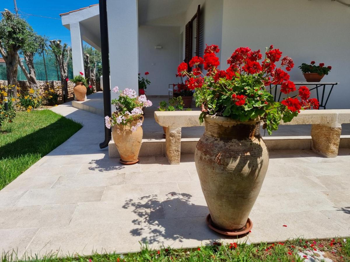 Kleade B&B Terrasini Exterior photo