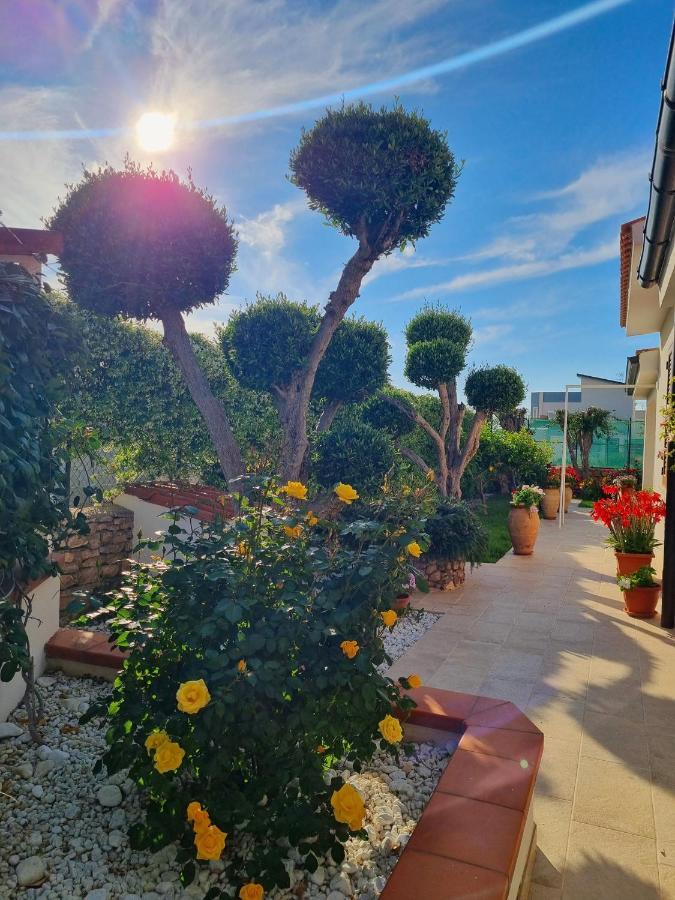 Kleade B&B Terrasini Exterior photo
